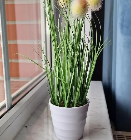 Hexagon Nr 28 Apartmán Grzybowo (West Pomeranian)