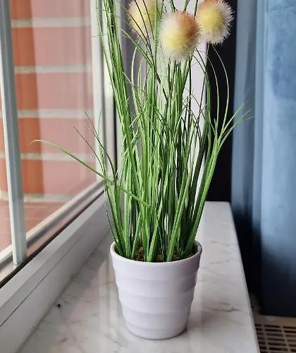 Hexagon Nr 28 Apartamento Grzybowo (West Pomeranian)